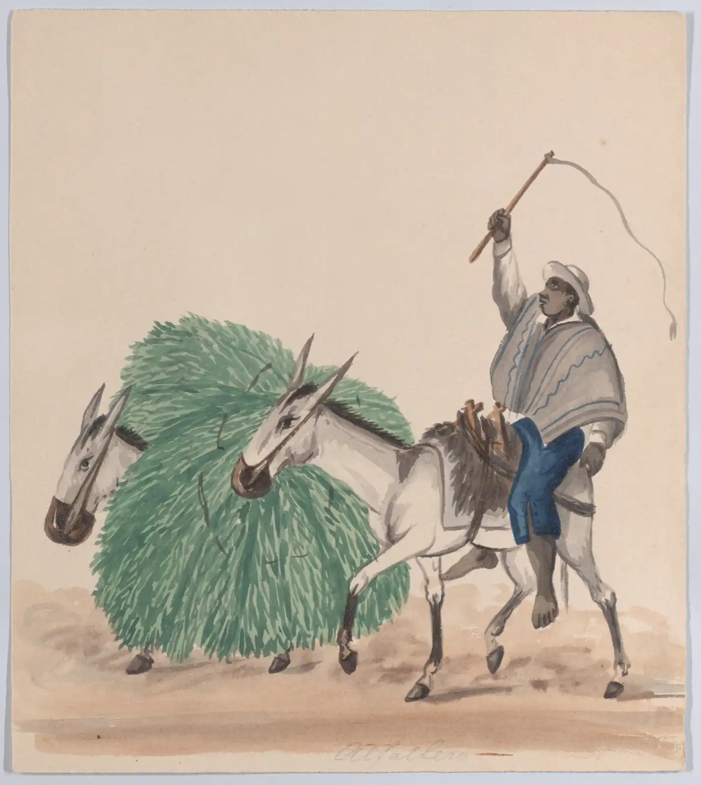 Rider in a gray poncho raising a whip on a mule, behind another mule nearly hidden under a huge bundle of grass