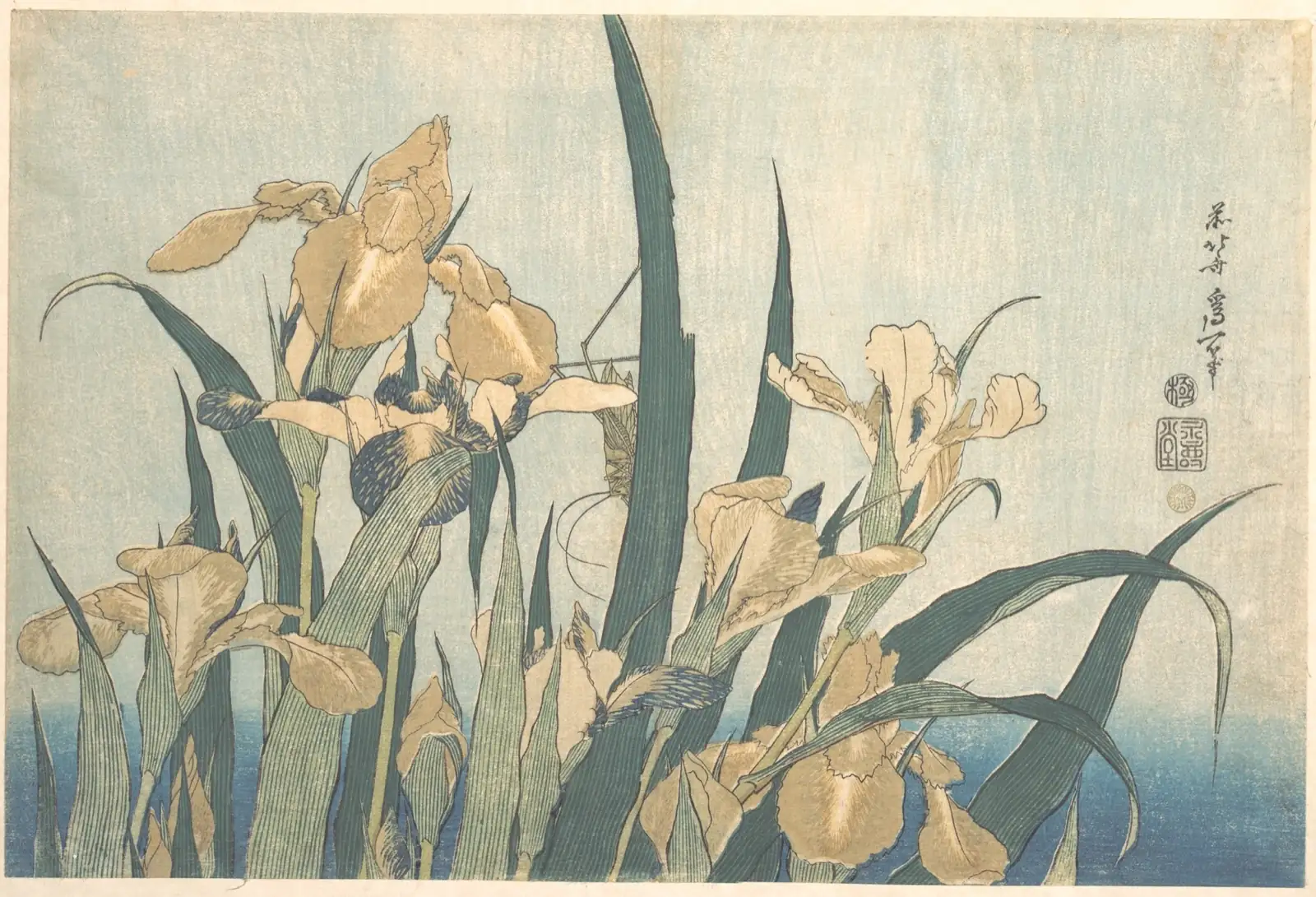 Irises with pale petals and long sword-like leaves against a blue ground, with a grasshopper among the stems