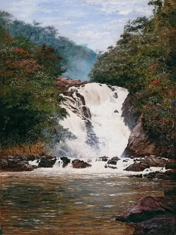 Cascada blanca y espumosa que cae entre rocas oscuras y selva verde con flores rojas, hacia una poza café