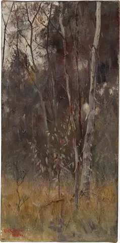 Troncos delgados de corteza pálida ante un bosque oscuro, con un arbolito de pocas hojas y hierba dorada abajo